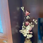 Arcillas تيرويل
