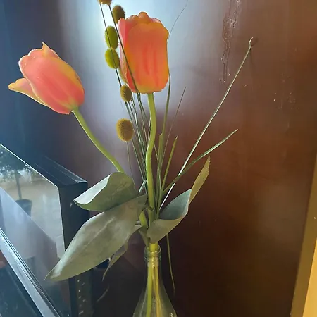 شقة Arcillas تيرويل