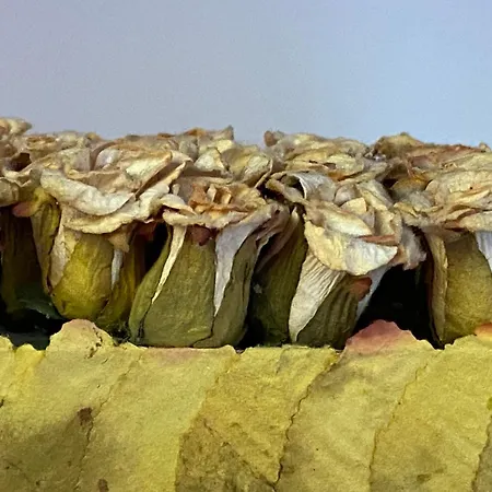 Arcillas Lägenhet Teruel