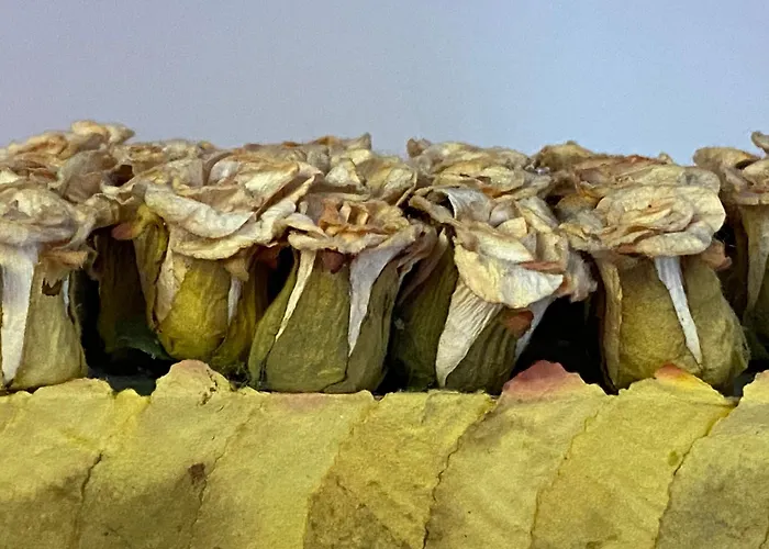 Arcillas Lägenhet Teruel